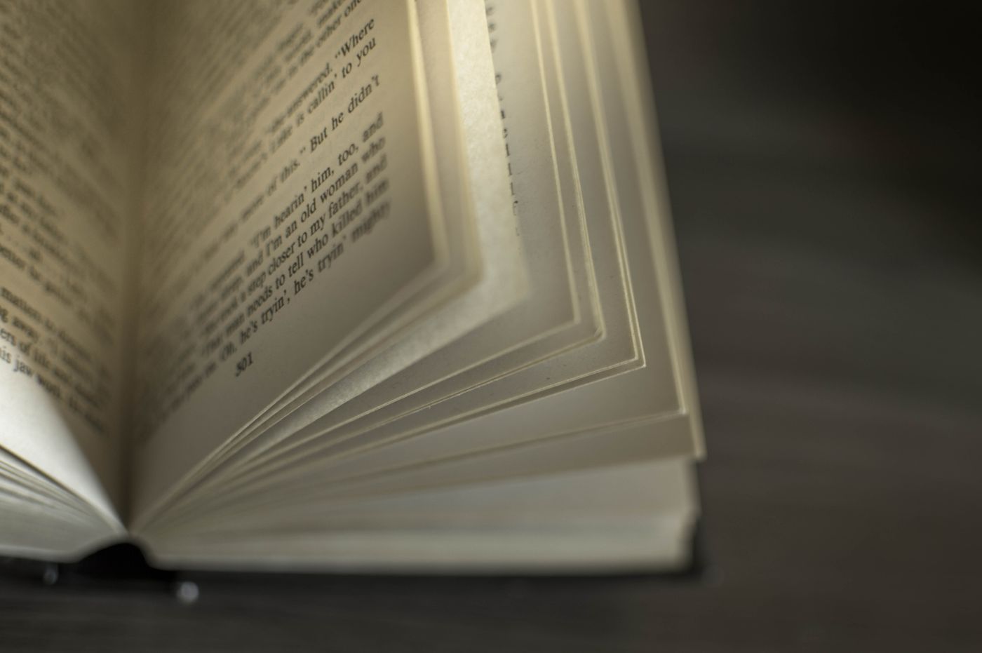 Aufgeschlagenes Buch als Symbol für Begriffswissen